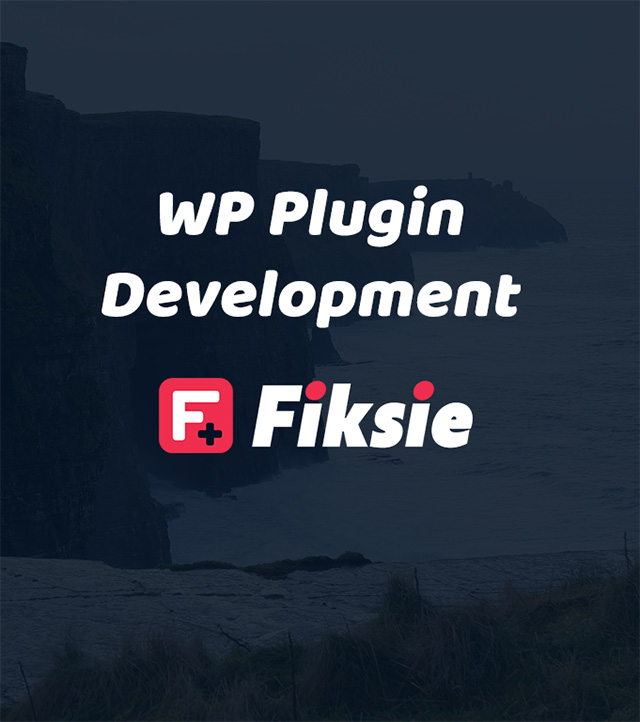 Wp Plugin development service - WordPress Plugin development Agency Ireland