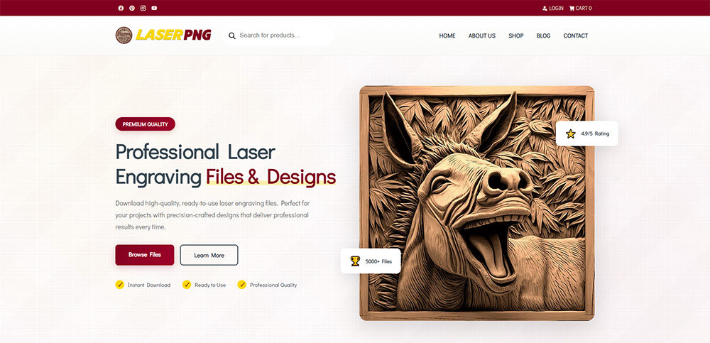 WooCommerce Agency Dublin Portfolio item from Fiksie
